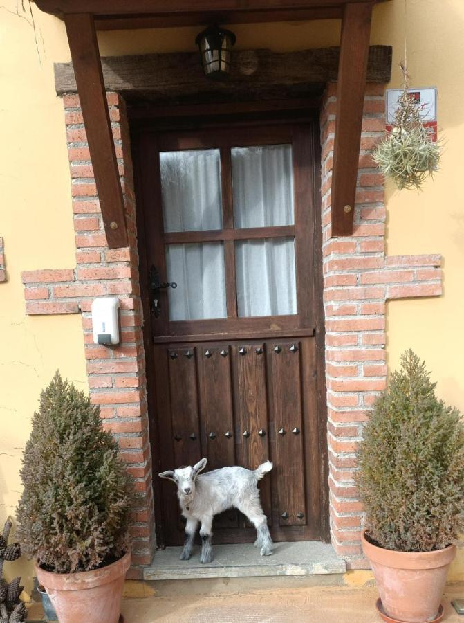 Carroceu Rural Apartment Cangas de Onis